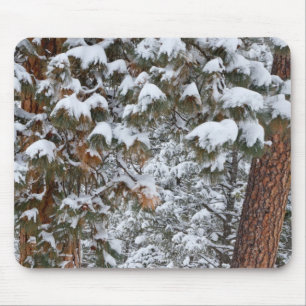 Snow fills the boughs of ponderosa pine trees mouse pad