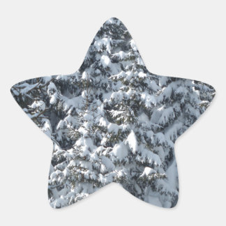 Snow Fir Tree Texture Star Sticker