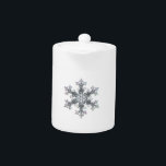 Snow flake<br><div class="desc">photograph of a real snow flake</div>