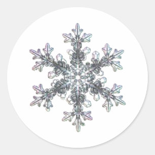 Snow flake classic round sticker