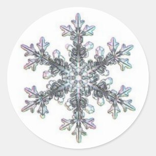 Snow flake classic round sticker