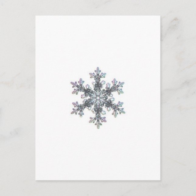 Snow flake postcard (Front)