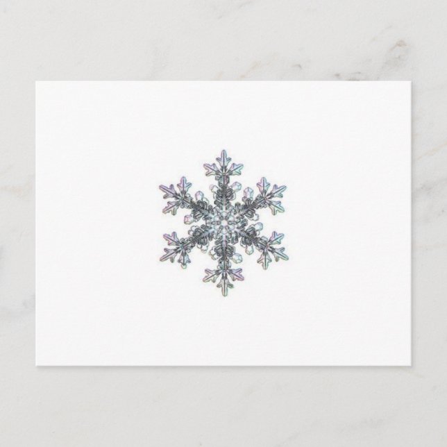 Snow flake postcard (Front)