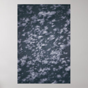 Snow flakes poster