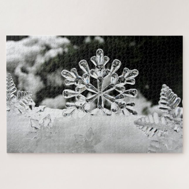 Snow Flakes  Puzzle (Horizontal)