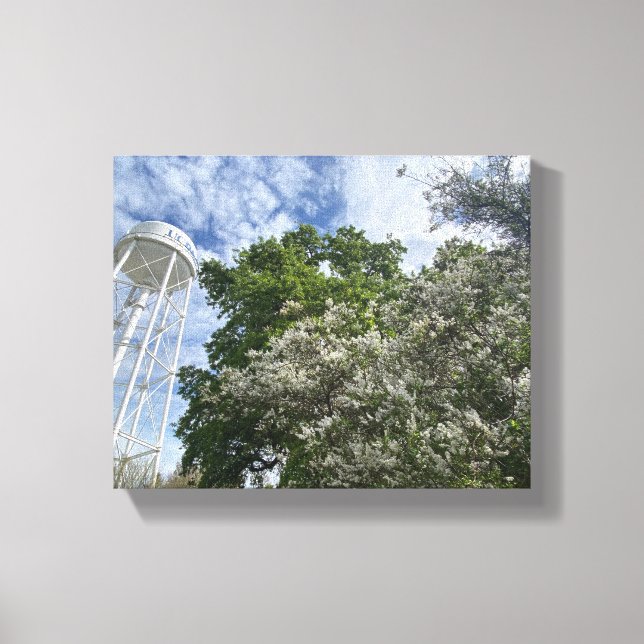 Snow Flurry Canvas Print (Front)