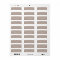 Snow Flurry Holiday Return Adress Labels / Beige