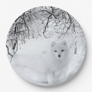 Snow Fox in Winter Woods Paper Plate