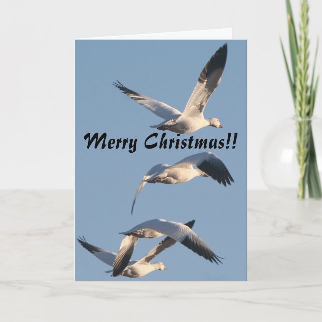Snow Geese Christmas Card (Front)