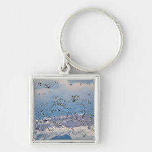 Snow geese during spring migration key ring