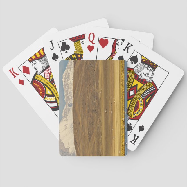 Snow geese during spring migration playing cards (Back)