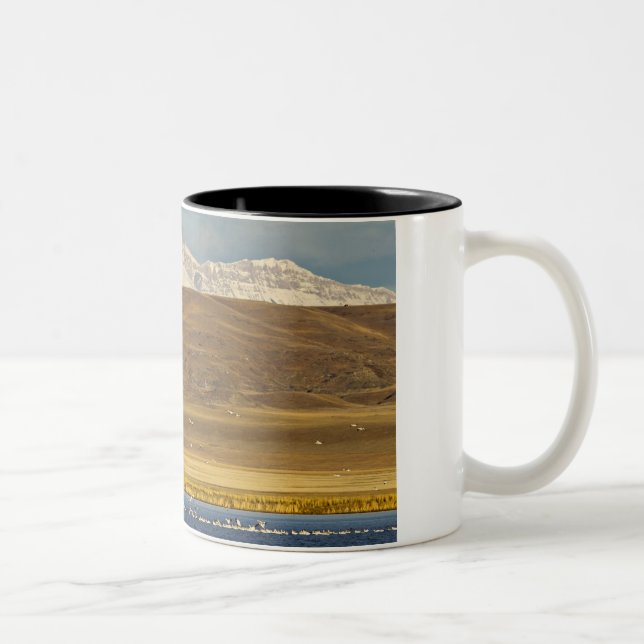 Snow geese during spring migration Two-Tone coffee mug (Right)