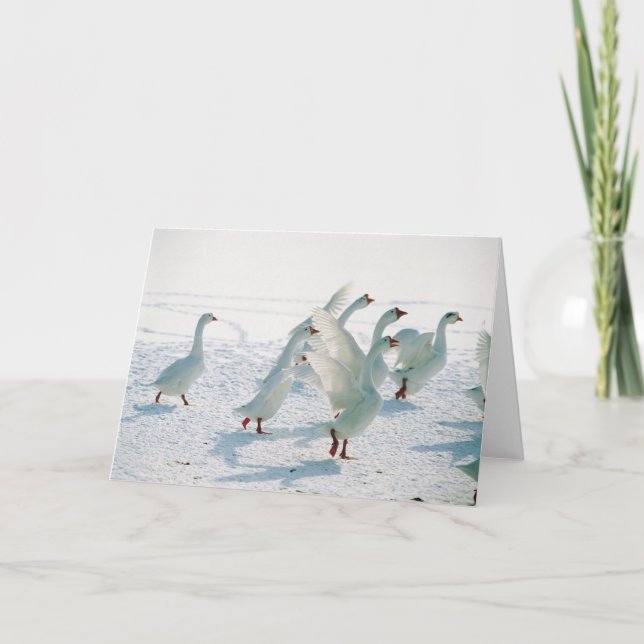 Snow Geese Xmas Holiday Christmas Blank Inside Card (Front)