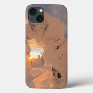 Snow Ghosts In The Whitefish Range iPhone 13 Case