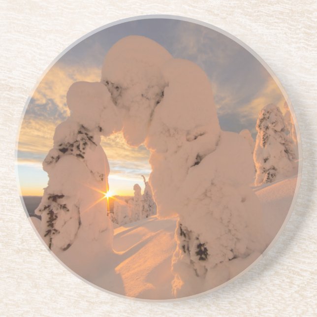 Snow Ghosts In The Whitefish Range Coaster (Front)