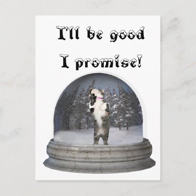 Snow globe cat postcard (Front)