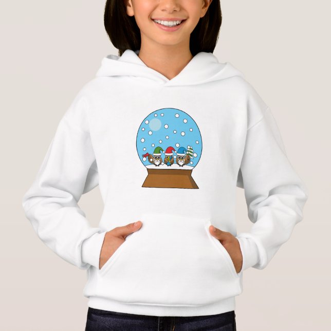 Snow Globe with Three Gnome Owls (Front)