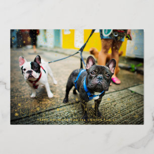 Snow Good Pet Holiday Photo Card