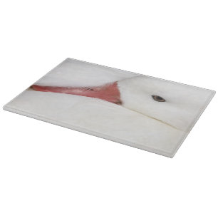 Snow Goose Chen caerulescens Cutting Board