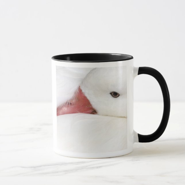 Snow Goose Chen caerulescens Mug (Right)