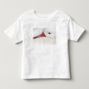 Snow Goose Chen caerulescens Toddler T-Shirt