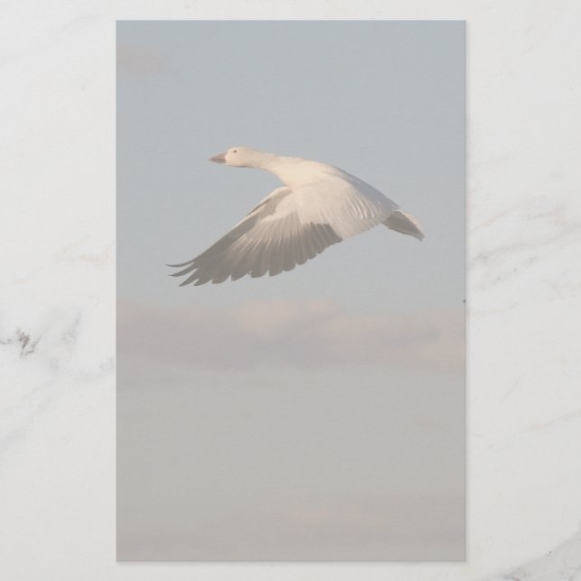 Snow Goose Flying Stationery (Front)