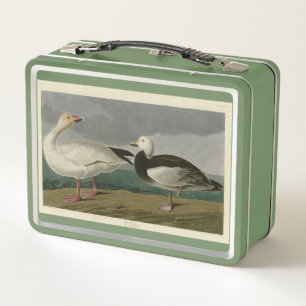 Snow Goose from Audubon's Birds of America Metal Lunch Box