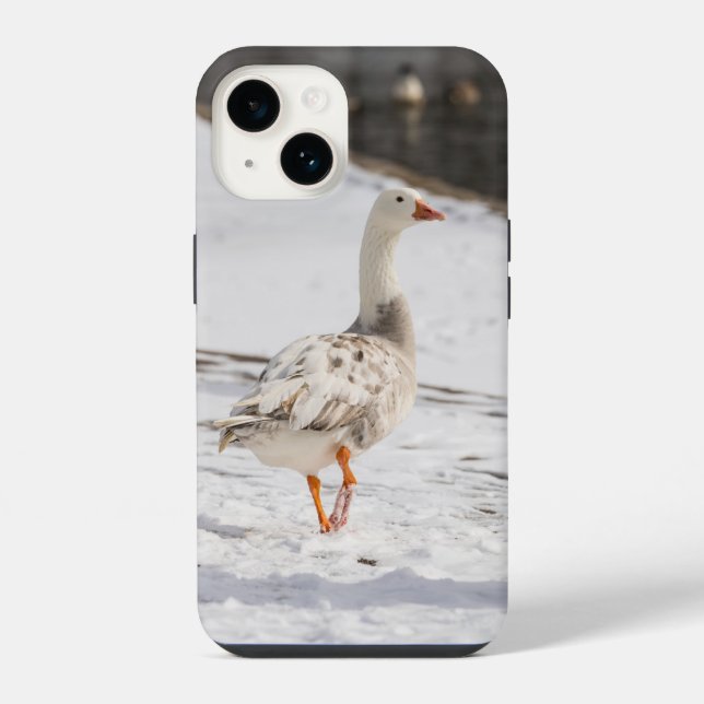 Snow Goose Strut iPhone Case (Back)