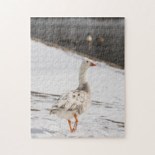 Snow Goose Strut Jigsaw Puzzle
