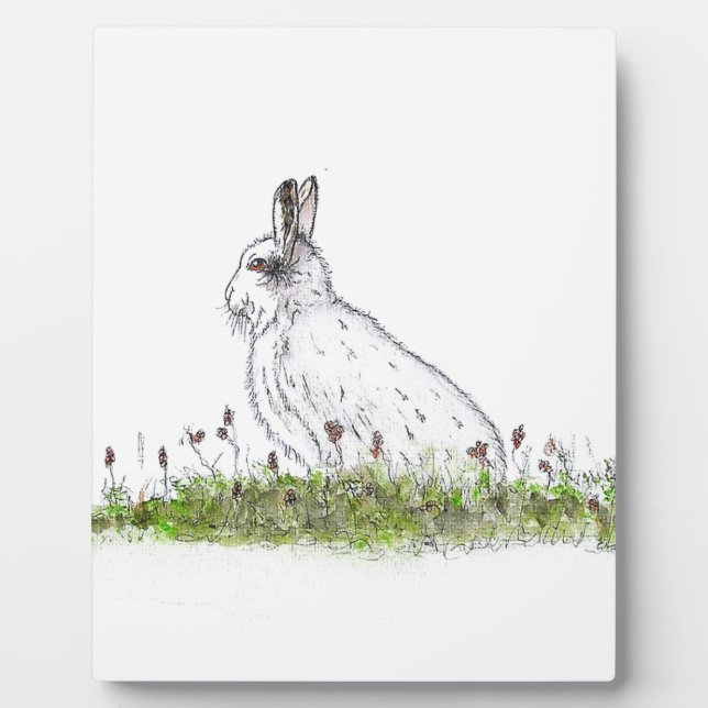 Snow Hare Plaque (Front)