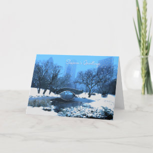 Snow & Holiday Lights in Central Park Greetings Card