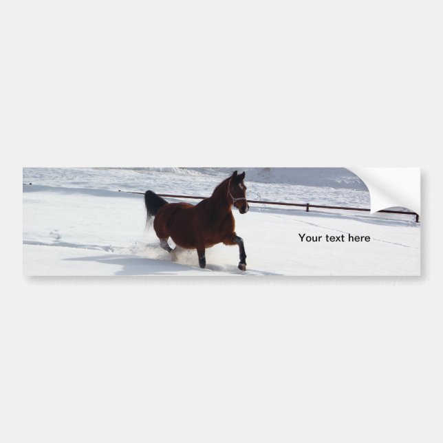 Snow Horse Bumper Sticker (Front)