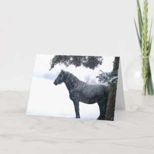 Snow Horse Holiday Card