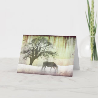 Snow Horse Holiday Christmas Card