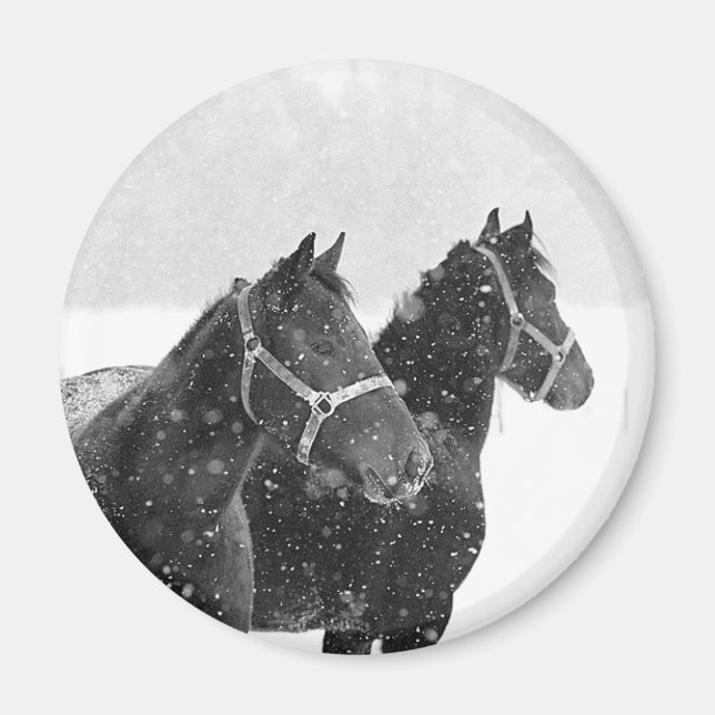 Snow Horses Magnet (Front)