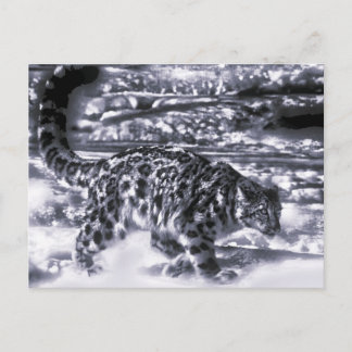 Snow Hunter 3 Postcard