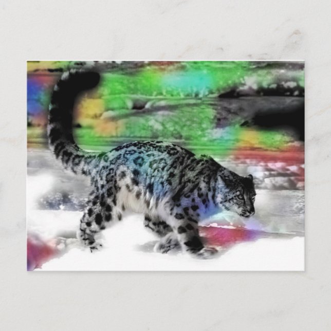 Snow Hunter 5 Postcard (Front)