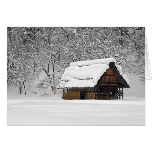 Snow Hut