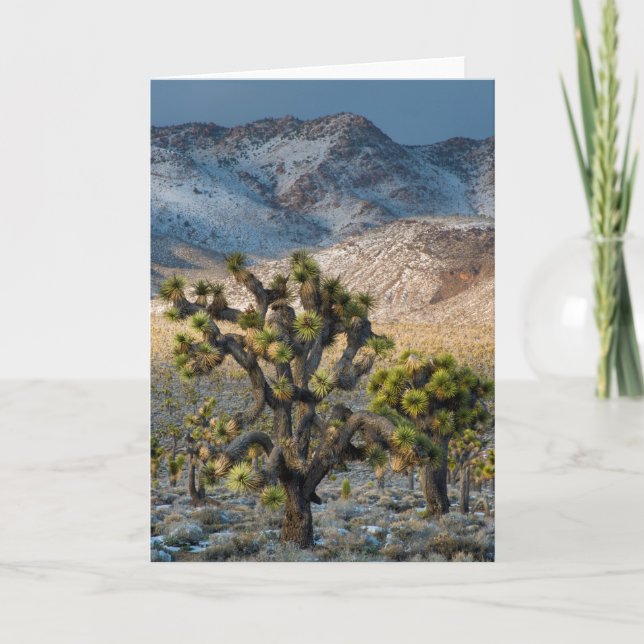 Snow In Death Valley Card (Front)