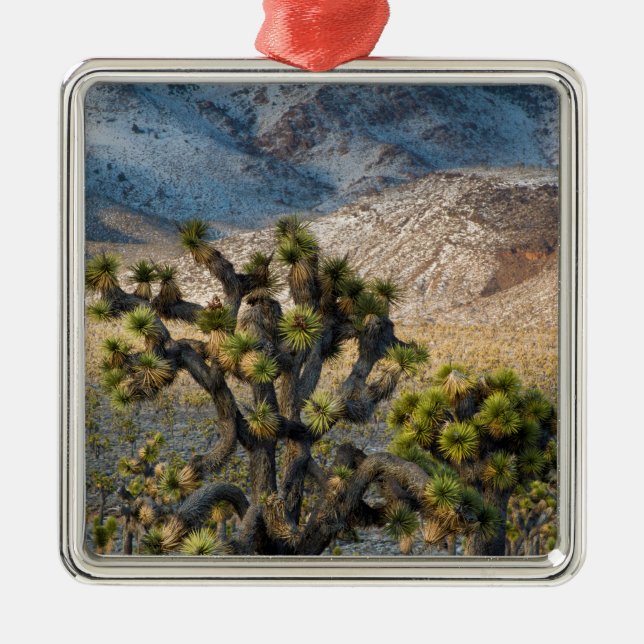 Snow In Death Valley Metal Tree Decoration (Front)