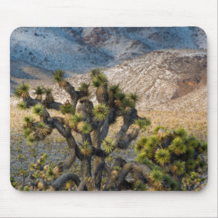Snow In Death Valley Mouse Pad