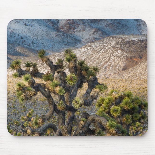 Snow In Death Valley Mouse Pad (Front)