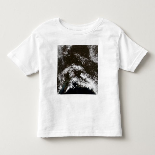 Snow in south central Alaska Toddler T-Shirt (Front)