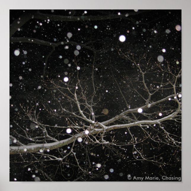 Snow in the Night Poster (Front)