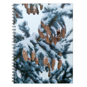 Snow in the Pines Notebook