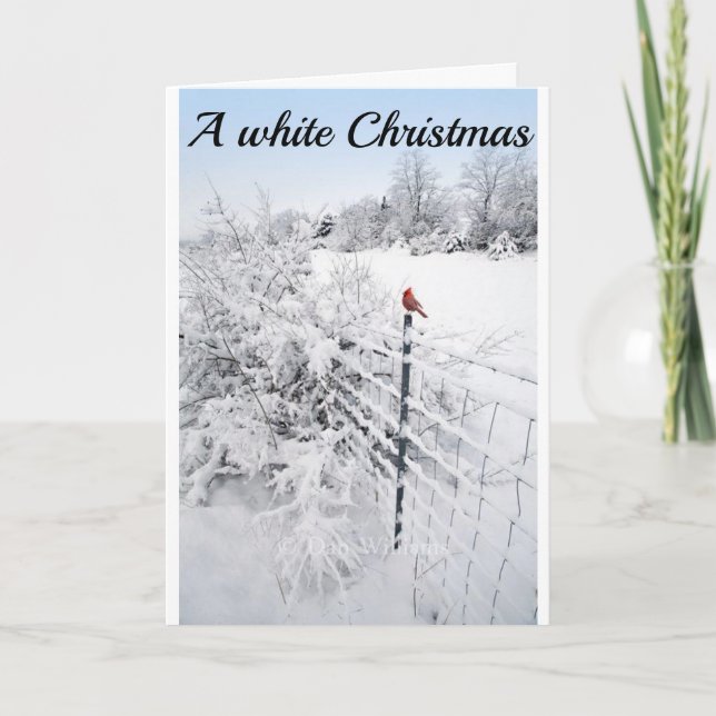 SNOW IS SO BEAUTIFUL-HOPE YOUR CHRISTMAS IS TOO CARD (Front)