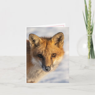 Snow Kissed Nose Vertical Holiday Card