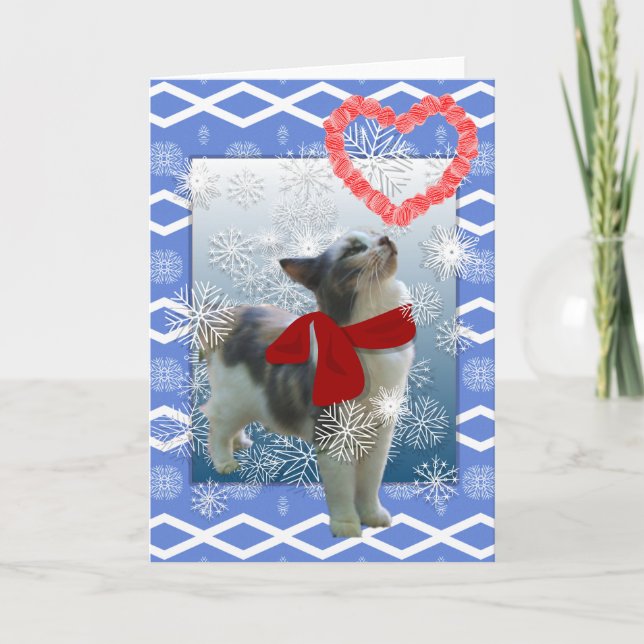 Snow kitty, Valentine Holiday Card (Front)
