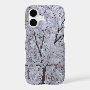 Snow-Laden Trees