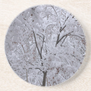 Snow-Laden Trees Coaster